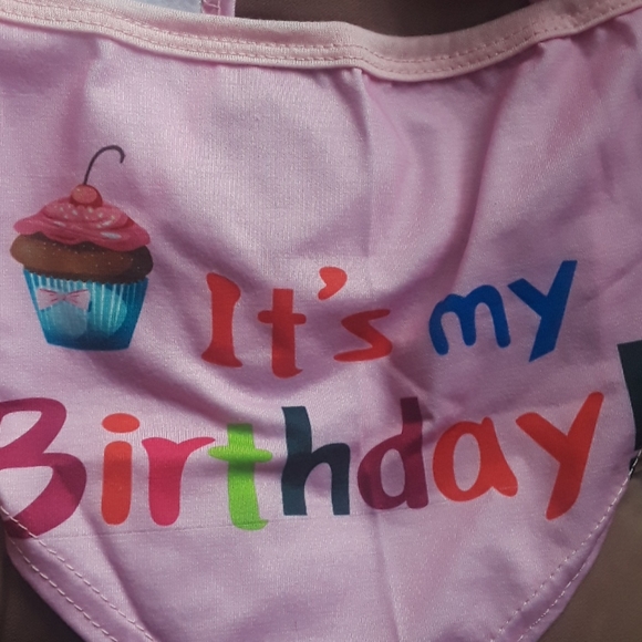 Dog birthday bandana set - Picture 4 of 6